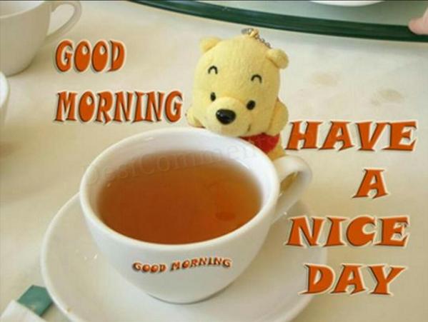 mohammad shariq on twitter gd mrng every1 have a wonderful day