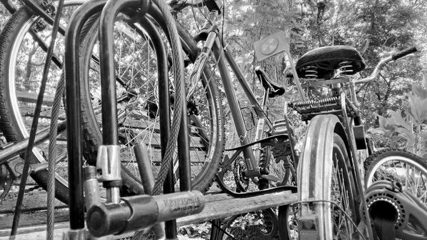 FowfPhoto's tweet photo. Check out the #photoshoot with @SirGryphon and tons of #bicycles #greatwaytostayinshape https://t.co/yocsl7cycx http://t.co/w01ccOdV62