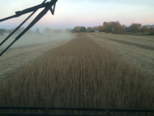robertreese_4's tweet photo. After chasing it for the last several weeks, I finally found the elusive last 35' of #bean14 http://t.co/ybIZr14uRy