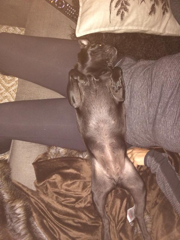 rainstuff's tweet image. Belly Rub Nymphomaniac. Anytime, anywhere.