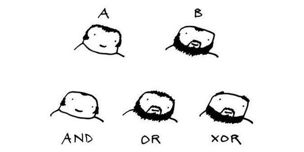 pickover's tweet image. This joke is called "Boolean Hair Logic." Source: bit.ly/1Hs7T4U