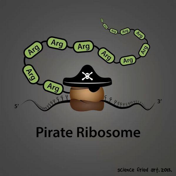 RIBOSOME2apbio's tweet photo. looking for a last minute halloween costume and a way to demonstrate how ribosomes form proteins out of mRNA? #2for1 http://t.co/JM917edqaY