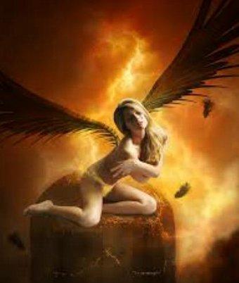 orchidea selvaggia tweet media