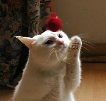 Christina tweet media