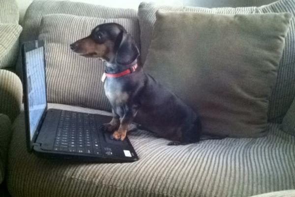 daniellelegend's tweet photo. when you check baes favorites &amp; you see something you don't like http://t.co/ddUW2xJy9e