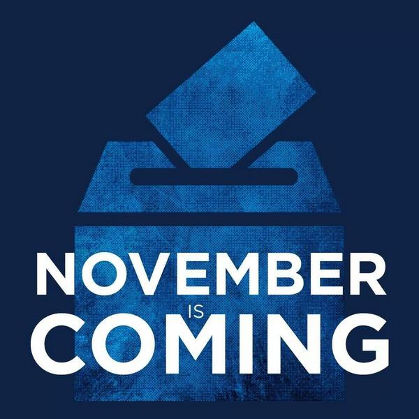 fishnow09's tweet image. Are you prepared to vote. #VoteBlue2014