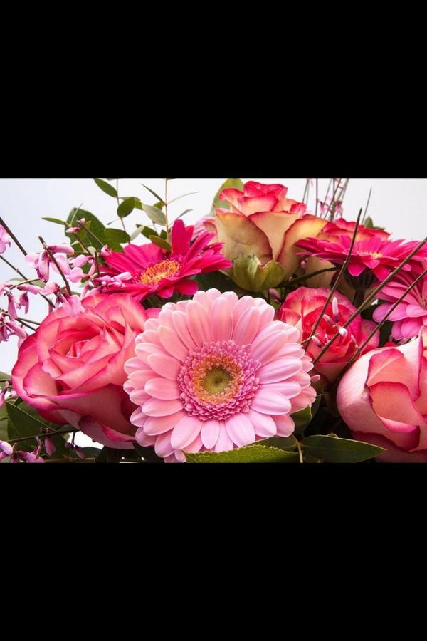 LOloLO555O's tweet photo. @albalb_ عام خير وبركه وسعاده علينا وعليكم ياااحق.. http://t.co/ShfSspv47A