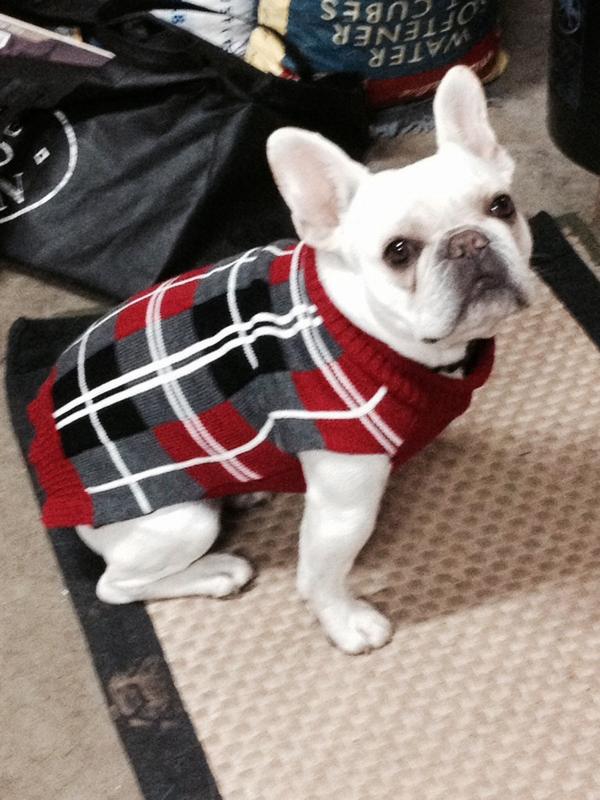 dukiestink's tweet photo. Everybody it's wintertime so you all better be like me and dress warm. Don't want anyone to get sick http://t.co/cLVe3eDCGH