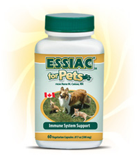 CDNhealth's tweet photo. For easy consumption, ESSIAC capsules should be given to pets with a little food and water. http://t.co/KLsLnyM0uY http://t.co/7jgiXFsFsV
