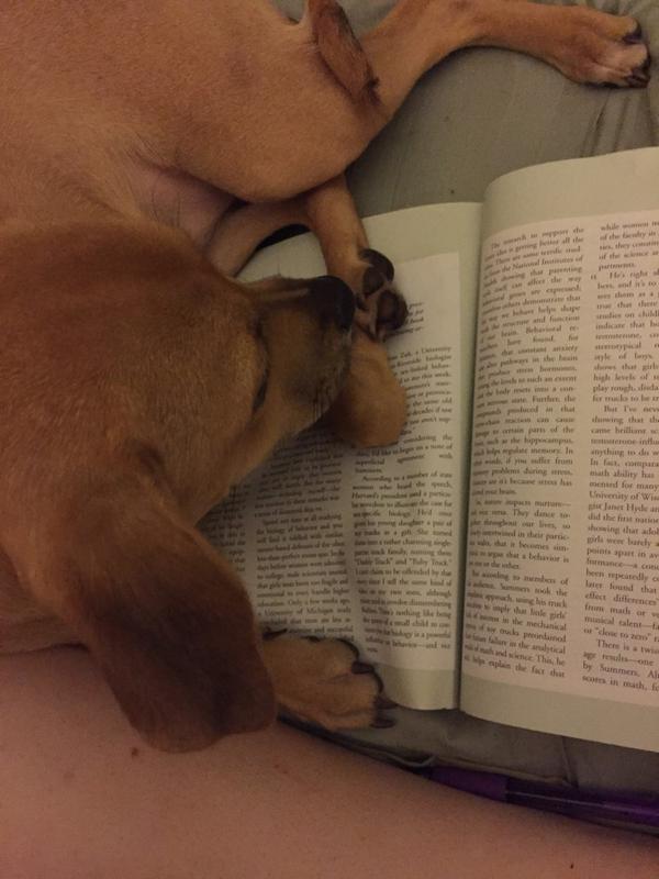 Heather4275's tweet photo. How am I supposed to study?? http://t.co/P8c9b0Qadj