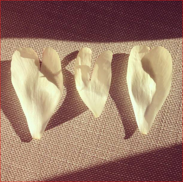 'These petals looked like hearts mama so they are for you..,' #emme #angelbaby #coconut #marshmallowprincess @JLo