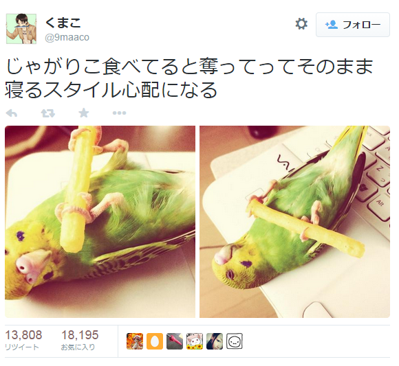 ライブドアニュース Ar Twitter かわいい じゃがりこ抱えてｽﾔｧ インコが愛くるしい Http T Co Ajqnpx5bvr 足でじゃがりこをつかんだまま仰向けで爆睡するインコを激写 かわゆすぎる Http T Co Fedrffd45l