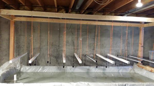 Here is a sneak peek picture of our prototype grow bed! #sustainability #goinggreen