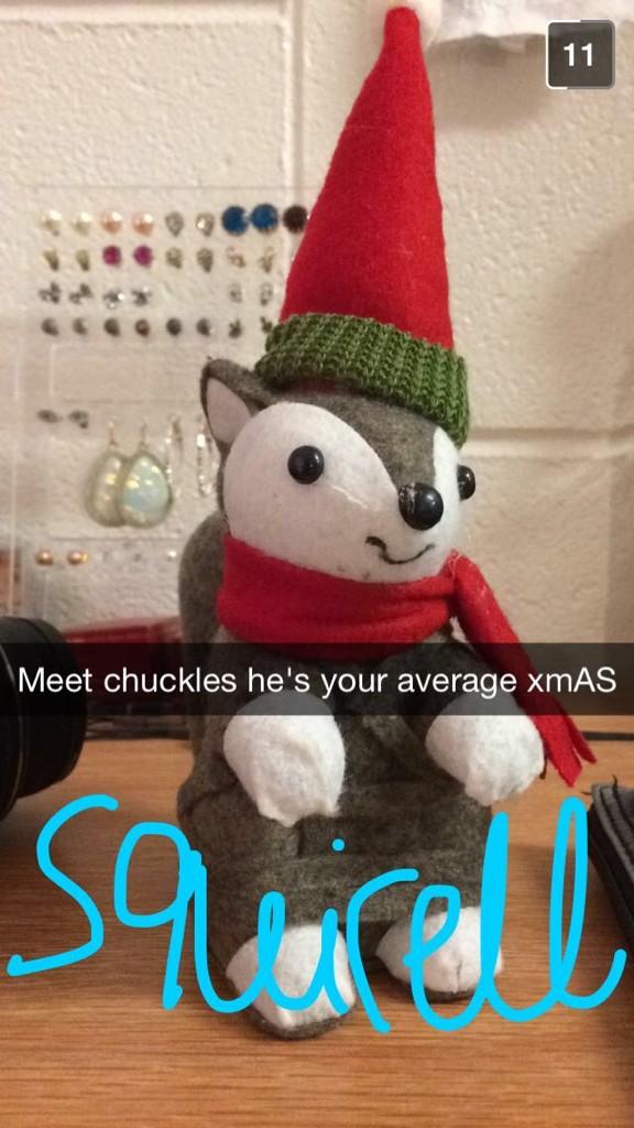 SquirrelHigh's tweet photo. aka the coolest squirrel you'll ever meet http://t.co/6lzQl1UEzE