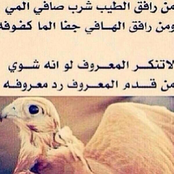 AlFaltah's tweet photo. http://t.co/BvWCiEwqQc