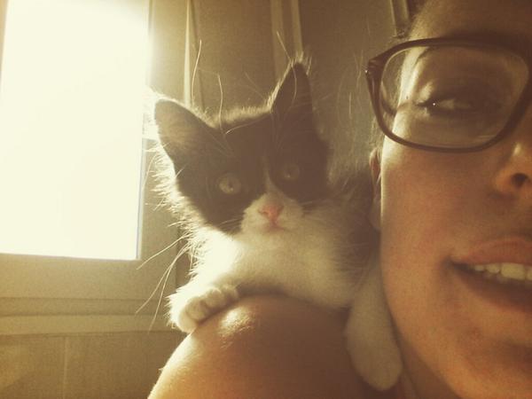 Vicky_twister's tweet photo. Mi gato loro♡ @ana_conqueso http://t.co/Ti4zZeUHBT