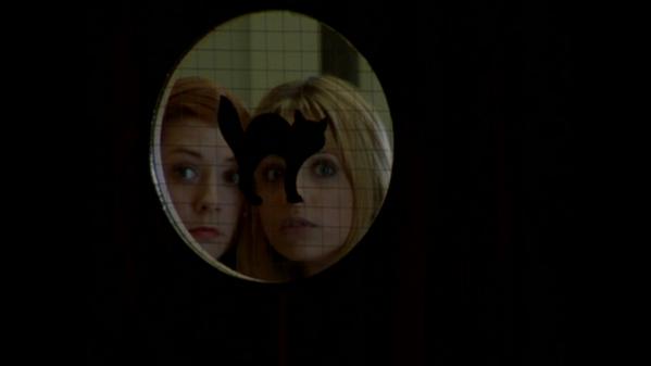 black mamba tweet media