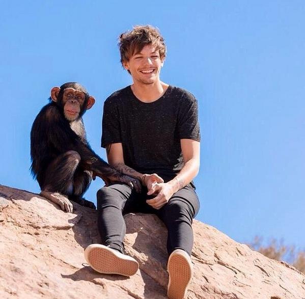 DirectionerBo96 tweet picture