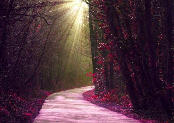Gabriele_Corno's tweet photo. A Magical Walk...... #Fall #Path http://t.co/6vGmKOOkfM