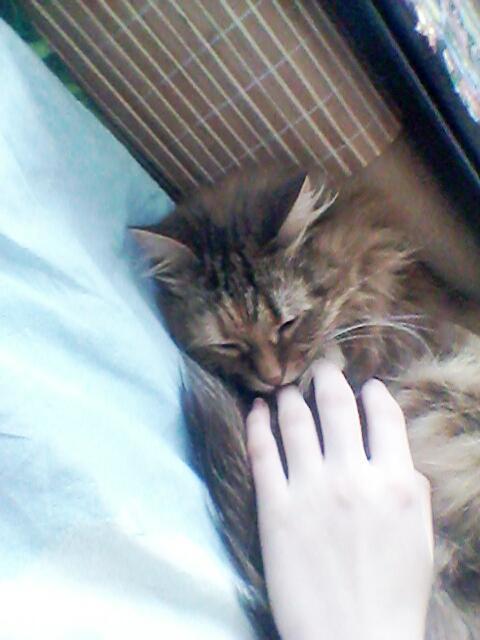 us_supr7978's tweet image. #2pak#Луша#Утро#Музыка#Счастье