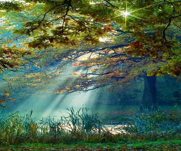 Gabriele_Corno's tweet photo. Fall Light....
Via @_Akanshagautam @SusanGilbert @Applebees @alphabetsuccess @MarshaCollier @cmelakigor @LadyTerezie http://t.co/hObXB6Lp4A