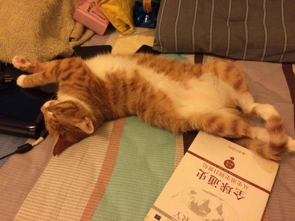 Giopee's tweet photo. 扭啊扭 扭啊扭啊扭 http://t.co/vb9bFOCUPa