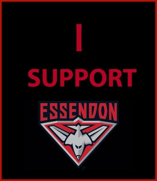NickHolloway3's tweet photo. Forever, no matter what! #backourboys #16flags #greatestclubofall #Tweet1000 #gobombers #standbyhird @EssendonFC http://t.co/IH630WJkie