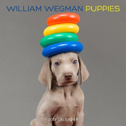 muarafatan's tweet image. William Wegman Puppies 2015 Wall Calendar... beassmartasmaster.cf/1110/141971269… #wegman
