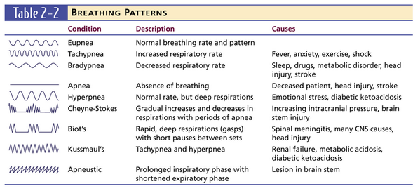 USMLE AID on X: Breathing Patterns: #MedEd @UsmleAid   / X