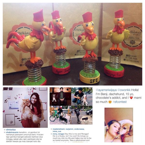 ayamsriwijaya's tweet image. Congrats! @shabrinausrie @gladysaashirya @romyrowe berhak dapat buah tangan dari @owonkk di #sfcontest edisi pertama