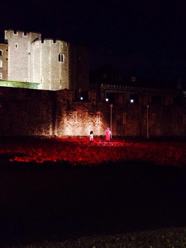 John_Ball1's tweet photo. Thanks @BillyBeefeater for allowing us to join him for the Roll of Honour. #TowerPoppies #WeWillRememberThem http://t.co/ITCbjZZVKt