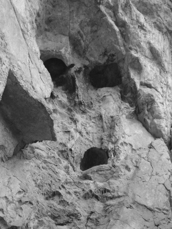 David Southwell tweet media