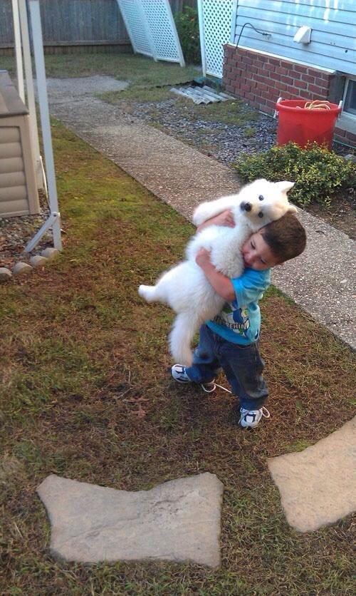 Me whenever I see a dog