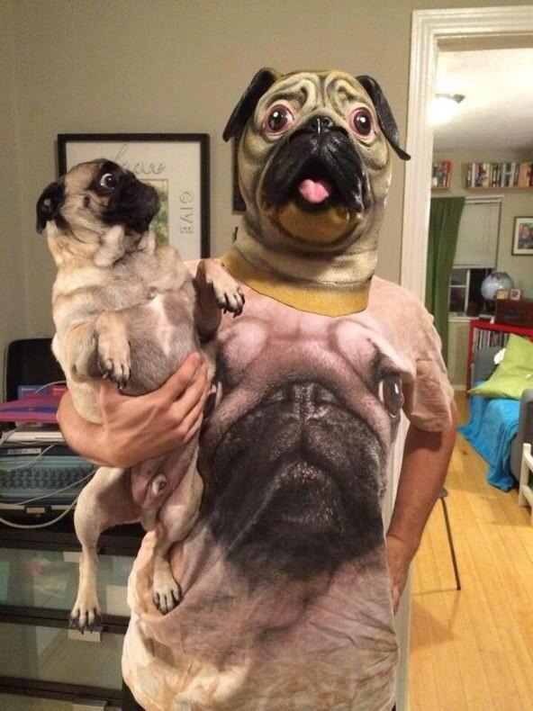 ThatsAnimals's tweet photo. relationship goals http://t.co/FgZC2s79nP