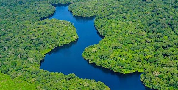 Premian a grupo indígena colombiano por proteger patrimonio en #Amazonía bit.ly/12SuOZg