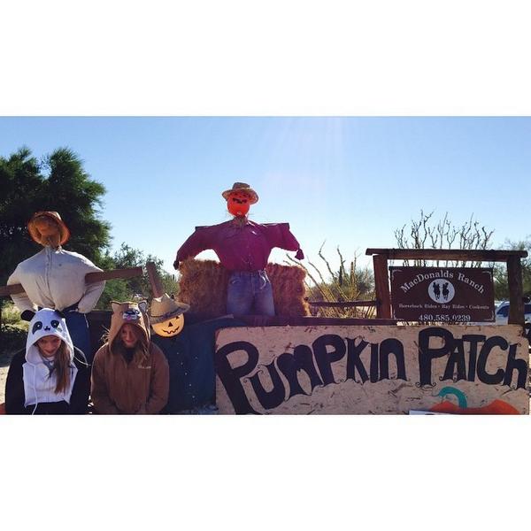 BeHuggable's tweet photo. @behuggable playing at the #pumpkinpatch this weekend!! What are you going to dress up as this #halloween? http://t.co/mzsC5wJ80T