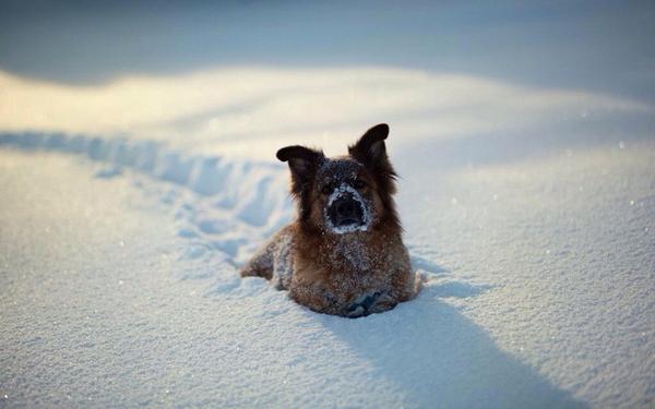 AlexandriaMorgz's tweet photo. I hope this pic makes your Monday a lil better http://t.co/B45PGRyLJT