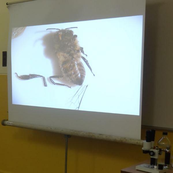 Brunel Microscopes tweet media