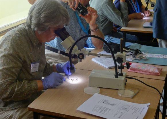 Brunel Microscopes tweet media