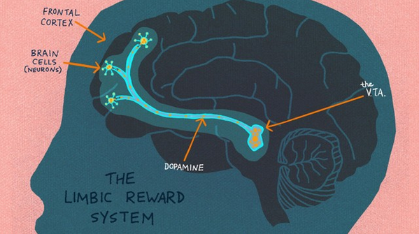 MindShiftKQED's tweet photo. What’s Going on Inside the Brain Of A Curious Child?  http://t.co/0yvpX7AzuV http://t.co/fuc30cwjPs