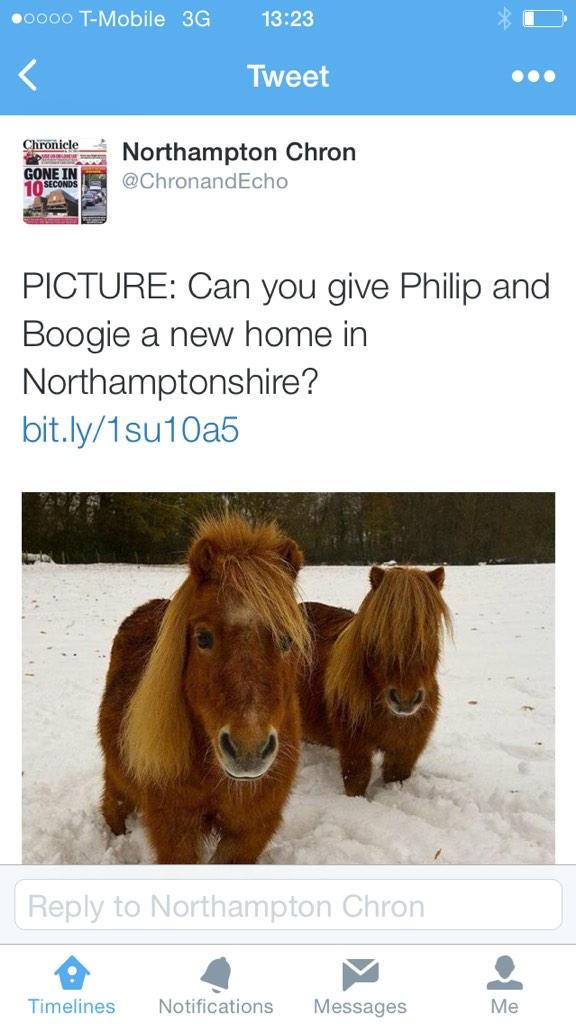 jad3phillips's tweet photo. YES PLEASE http://t.co/Z7dvzYsAed