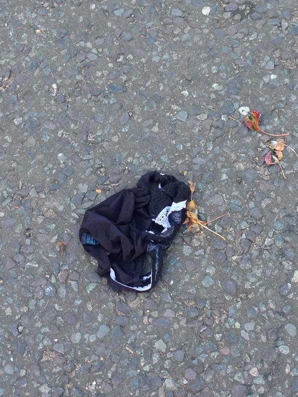 samuelrhood's tweet image. This is becoming a common sight in Chelsea in the park behind Embargos... #slaaag