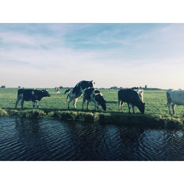 GreenshotFilms's tweet image. The day just got a little more romantic whilst out scouting for film locations. #location #scouting #film #landscape