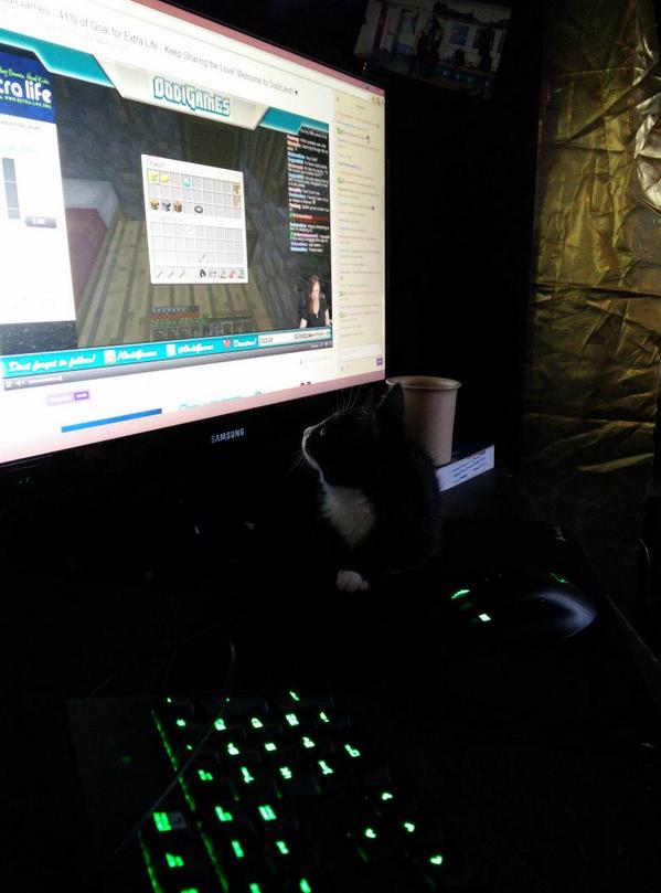 Stinalafire's tweet photo. @OodiGames how about now ^^ http://t.co/JeRDtfZl2i