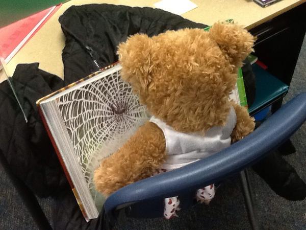 KrinnMrs's tweet photo. Our stuffed animals are busy reading with us and without us! #RedRibbonWeek http://t.co/MIyOZVHtd0