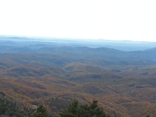 RobinsonMeta's tweet image. On top of grand father mountain.