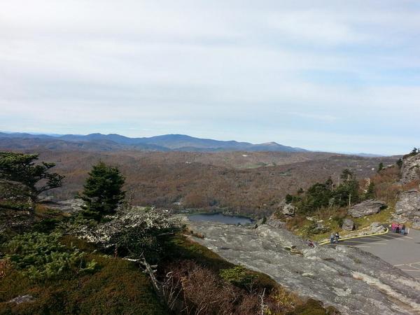 RobinsonMeta's tweet image. Beautiful.