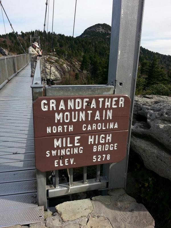 RobinsonMeta's tweet image. 