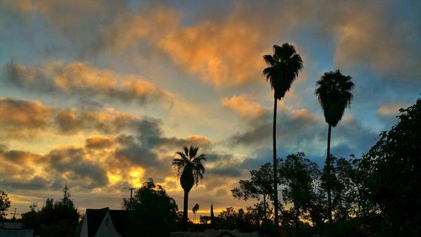 rudogg2416's tweet image. @BobVanDillen @RobinMeade Gooooood Morning From Los Angeles Robin and Bob!!! #weloveLA #morningexpress #iloveRobin