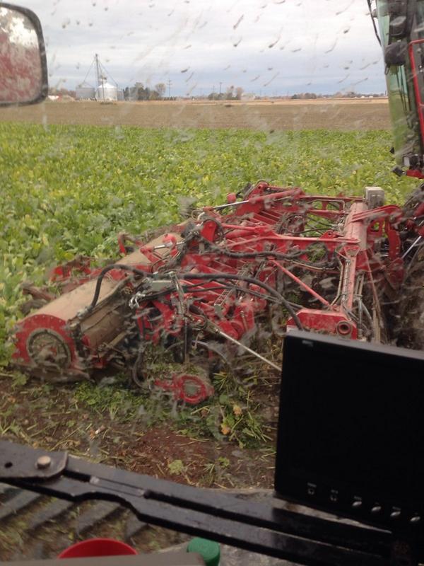 prime_ben's tweet photo. #notcorn #notbeans BEETS!! #harvest14 http://t.co/PAvcoaiLW7